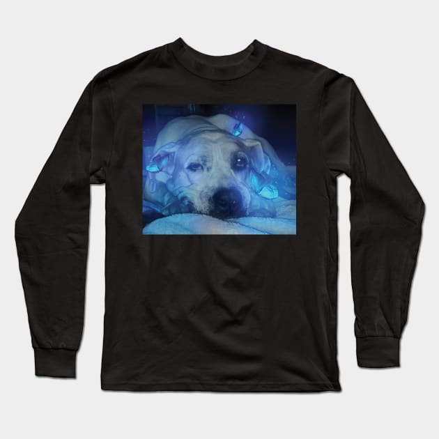 Dog and Blue Glowing Butterflies Long Sleeve T-Shirt by Dad n Son Designs